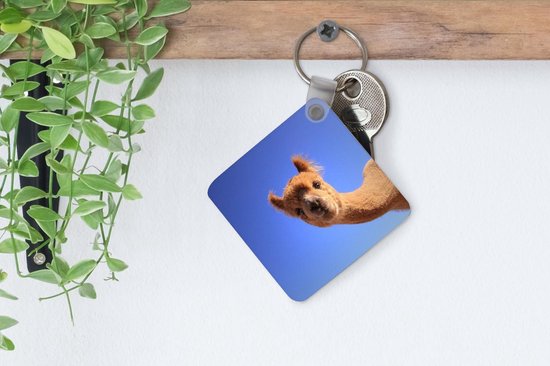 Porte-clés - Alpaga - Blauw - Ciel - Plastique
