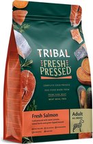 Tribal adult - Salmon 12.5 kilo