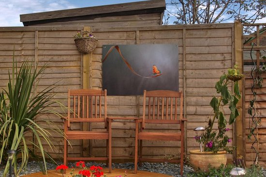 Décoration de jardin Insecte - Oranje - Feuille - 60x40 cm - Poster jardin - Toile jardin - Poster extérieur