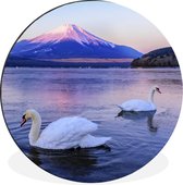 WallCircle - Cercle Mural - Cercle Mural - Cygnes - Water - Berg - Aluminium - Dibond - 120x120 cm - Intérieur et Extérieur XXL