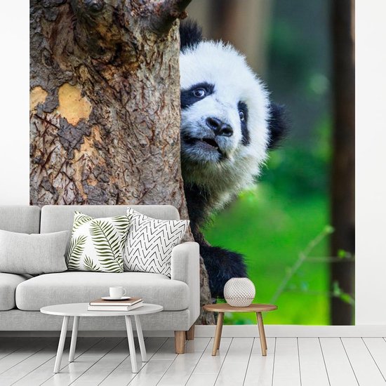 Papier peint - Papier peint photo Panda - Arbre - Forêt - Largeur 300 cm x Hauteur 300 cm
