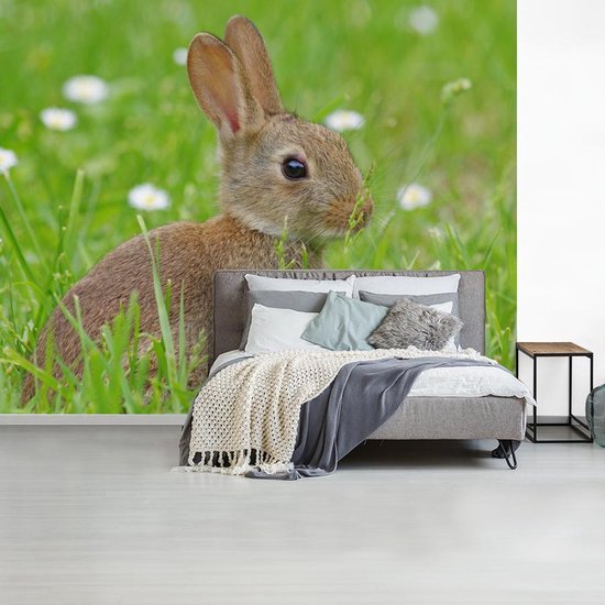 Papier Peint - Papier Papier peint photo Lapin - Fleurs - Herbe - Largeur 375 cm x Hauteur 300 cm