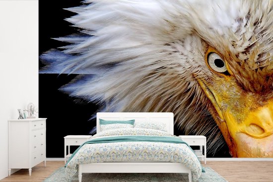 Papier peint Papier peint photo en vinyle - Oeil de l'aigle sur fond noir largeur 390 cm x hauteur 260 cm - Tirage photo sur papier peint (disponible en 7 tailles)