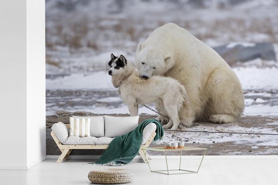 Amitié spéciale entre chien et ours polaire 360x240 cm