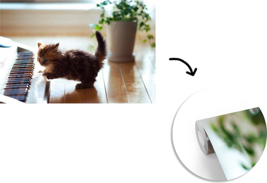Papier peint photo peint photo vinyle - Chaton jouant avec un piano largeur 390 cm x hauteur 260 cm - Tirage photo sur papier peint (disponible en 7 tailles)