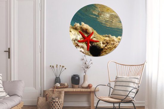 WallCircle - Wall Circle - Wall Circle Indoor - Étoile de Mer - Corail - Mer - 140x140 cm - Décoration murale - Peintures Ronds