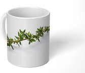 Mok - Vers geplukte tijm met een zwakke schaduw - 350 ML - Beker
