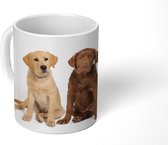 Mok - Koffiemok - 4 verschillende kleuren Labrador Retriever pups - Mokken - 350 ML - Beker - Koffiemokken - Theemok