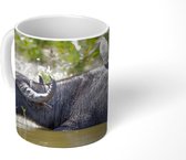 Mok - Ibis op waterbuffel - 350 ML - Beker