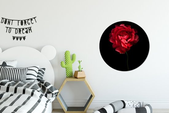 Renoncule rouge avec un fond noir Sticker mural cercle mural 80x80 cm / cercle papier peint / cercle mural / cercle vivant - autocollant & découpe ronde