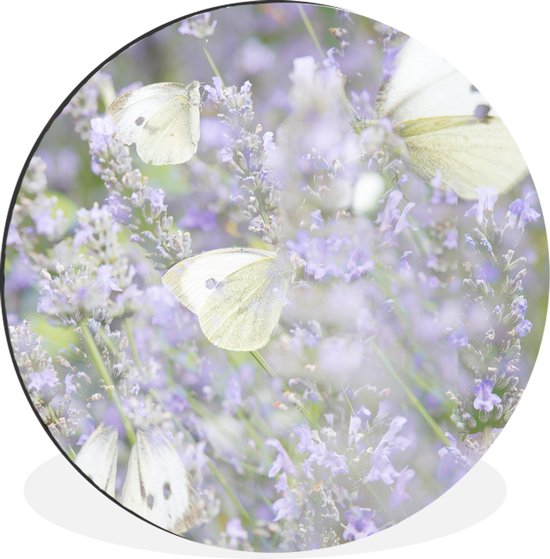 WallCircle - Wandcirkel - Muurcirkel - Koolwitje vlinders op lavendel - Aluminium - Dibond - ⌀ 140 cm - Binnen en Buiten