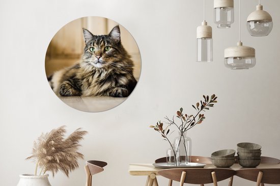 Assiette en plastique cercle mural chat Maine Coon rayé noir et marron ⌀ 90 cm - impression photo sur cercle mural / cercle vivant (décoration murale)