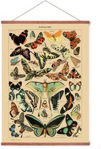 Poster In Posterhanger - Vintage Vlinders - Kader Hout - Educatief - Dieren - 70x50 cm - Ophangsysteem