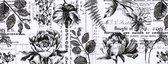 Idea-ology Collage paper - 15,24x15,24cm - yard botanical