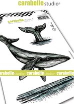 Carabelle Studio Cling stamp - A6 le chant des baleines