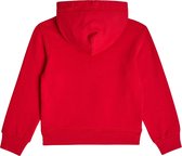 Dsquared2 Jongens Leaf Sweater Rood maat 176