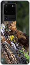 Geschikt voor Samsung Galaxy S20 Ultra hoesje - Marter - Boom - Bos - Siliconen Telefoonhoesje