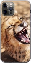 Coque iPhone 13 Pro - Cheetah - Animal - Gros plan - Siliconen