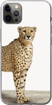 Geschikt voor iPhone 12 Pro Max hoesje - Luipaard - Dieren - Witte achtergrond - Kinderen - Jongens - Meisjes - Siliconen Telefoonhoesje