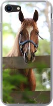 Geschikt voor iPhone SE 2020 hoesje - Paard - Natuur - Hek - Siliconen Telefoonhoesje