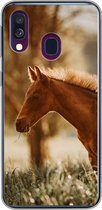 Geschikt voor Samsung Galaxy A40 hoesje - Paard - Licht - Weide - Siliconen Telefoonhoesje