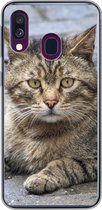 Coque Samsung Galaxy A40 - Chat - Animal - Marron - Filles - Enfants - Garçons - Enfant - Coque de téléphone en Siliconen