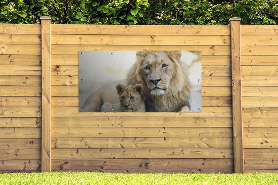 Affiche de clôture Lion - Cub - Portrait - 200x100 cm - Toile de jardin