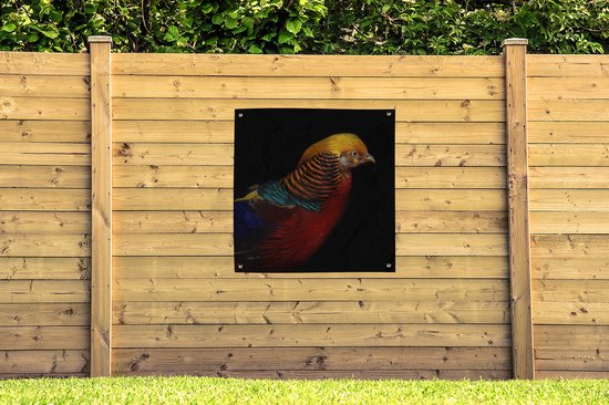 Affiche de jardin Faisan doré sur fond noir Toile en vrac 100x100 cm - Toile de jardin / Toile d'extérieur / Peintures d'extérieur (décoration de jardin)