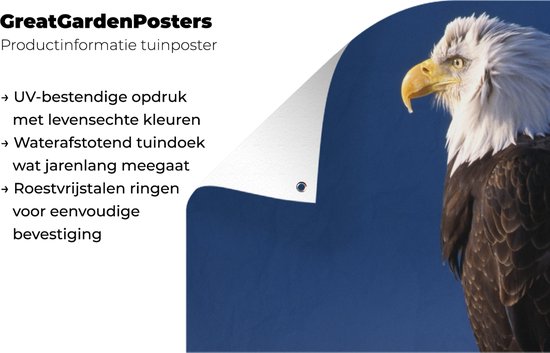 Poster de jardin Aigle - Gros plan - Branche - 60x30 cm - Toile de jardin - Poster extérieur