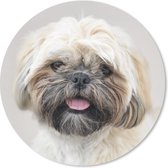 Muismat - Mousepad - Rond - Portret close up van een Shih Tzu hond - 50x50 cm - Ronde muismat