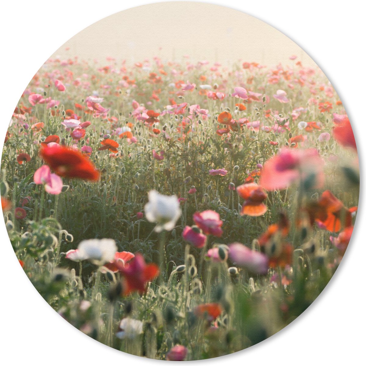 Muismat rond 20x20 cm - Mousepad Klaproos - Kleuren - Pastel - Ronde muismatten