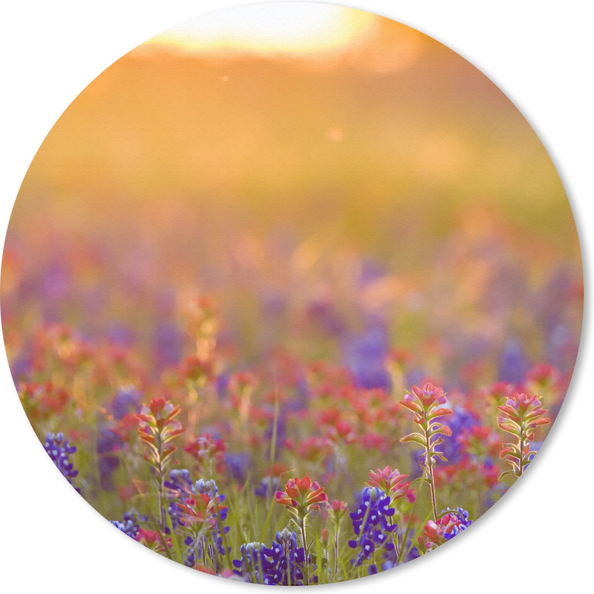 Muismat rond 30x30 cm - Mousepad Bloemen - Goud - Zon - Ronde muismatten