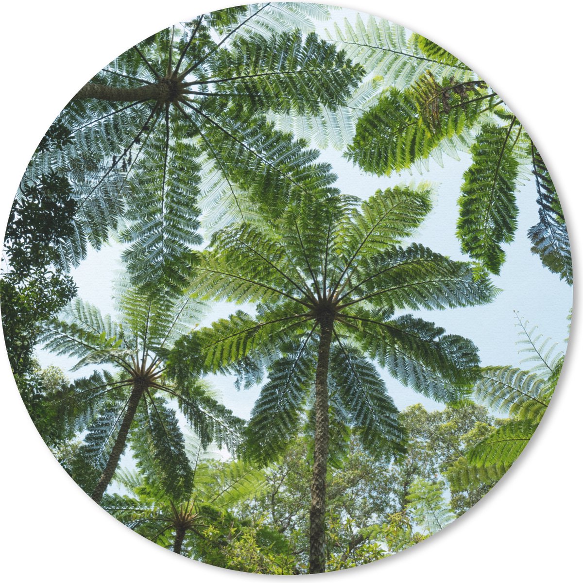 Muismat rond 30x30 cm - Mousepad Bomen en bladeren in jungle - Ronde muismatten
