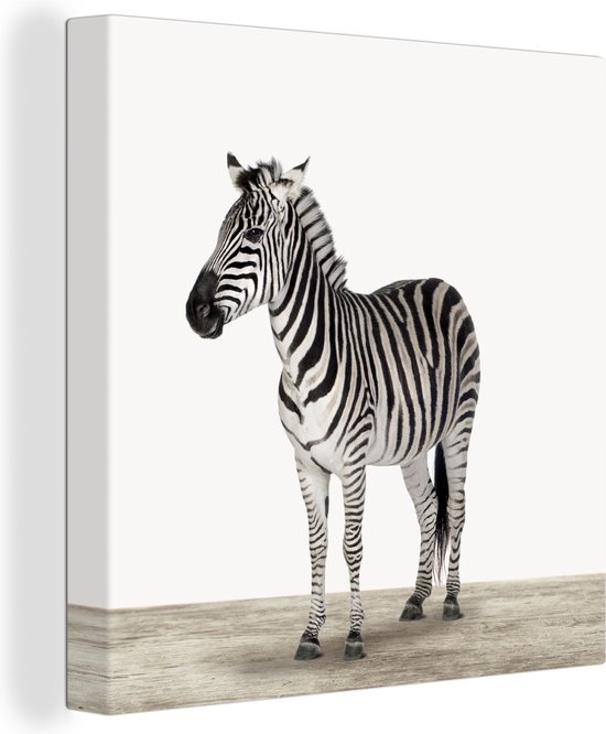 Toile de pépinière imprimé animal Zebra 20x20 cm - Tirage photo sur toile (Décoration murale salon / chambre)