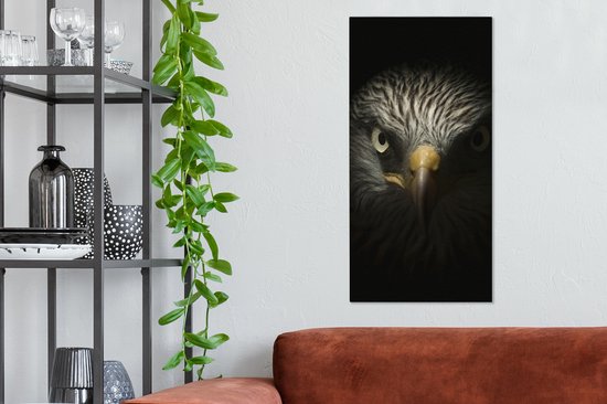 Tableau sur toile Vogel - Aigle - Rapaces - Oeil - Bec - Lumière - 40x80 cm - Décoration murale