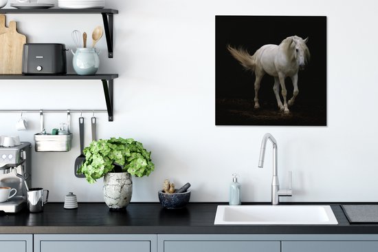 Cheval Wit devant une toile fond noir 2cm 50x50 cm - impression photo sur toile peinture Décoration murale salon / chambre à coucher) / Animaux sauvages Peintures Toile