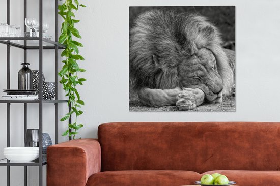 Toile de lion endormie 2cm 90x90 cm - Tirage photo sur toile (Décoration murale salon / chambre) / Peintures sur toile animaux sauvages
