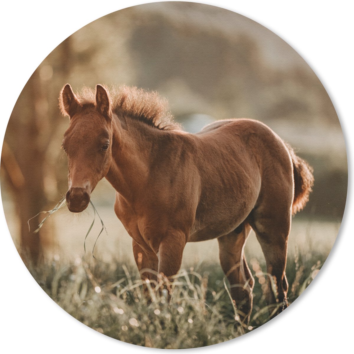 Muismat rond 40x40 cm - Mousepad Paard - Licht - Weide - Ronde muismatten