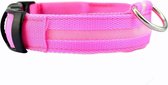 Lichtgevende Halsband LED Maat L 41 - 52 cm USB Oplaadbaar Hondenhalsband Puppy Riem - Roze Hond Dog Kat Kitten Cat