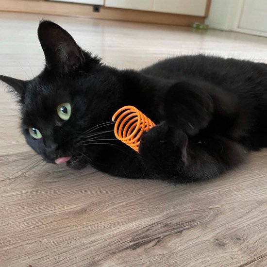 Pettadore Play Springs – Set van 9 Kattenveertjes – Kattenspeelgoed