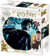 3D puzzel Harry Potter (500 pcs)