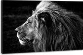 Schilderij -Zijprofiel van een Leeuw, Koning van de Jungle, zwart/wit, 100x70cm. premium print