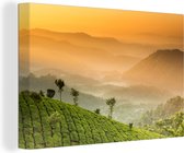 Coucher de soleil sur les plantations de thé 90x60 cm - Tirage photo sur toile (Décoration murale salon / chambre)