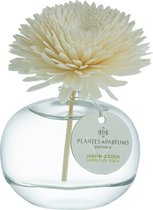 Plantes & Parfums Garden Of Eden Bloem Geurstokje - Interieurparfum - Bloemige Geur - 100ml