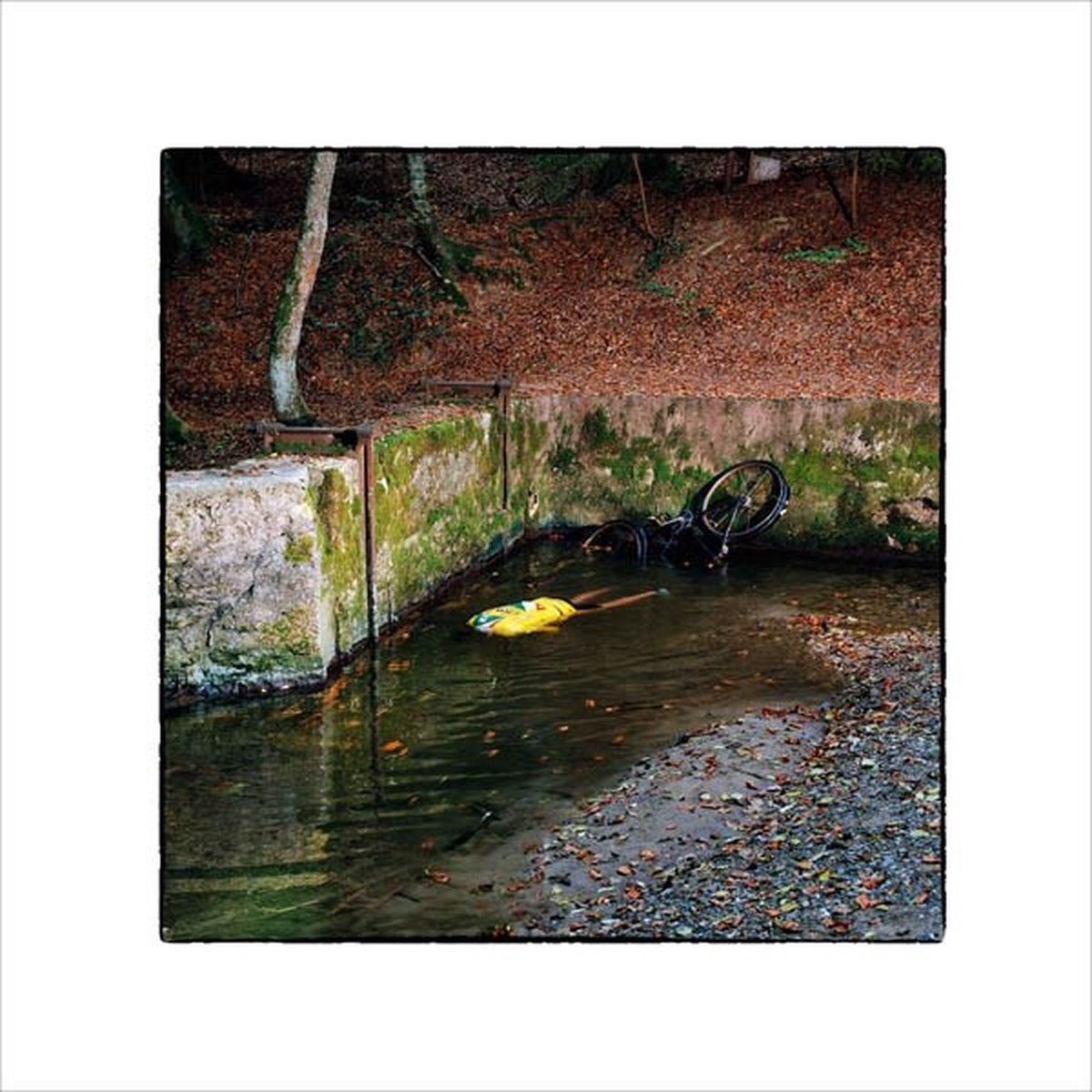 Franck Vigroux - Totem (CD) (Limited Edition)