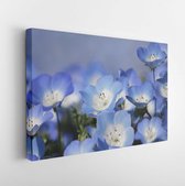 Onlinecanvas - Schilderij - Nemophila Bloemenveld Art Horizontaal Horizontal - Multicolor - 115 X 75 Cm