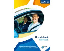 Rijbewijs B