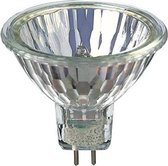 BLV Halogeenlamp MR16 GU5,3 12V 35W 24DEG Closed FMV