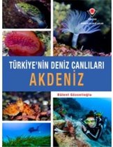 Akdeniz   Türkiye'nin Deniz Canlıları