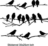 Stickervel voor raam of muur thema vogels 30 x25 bxh